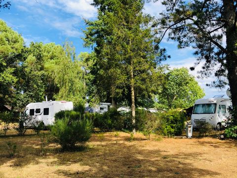 Camping l'Hermitage - Camping Loire-Atlantique - Image N°6