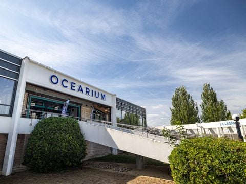 Camping Domaine de Bréhadour   - Camping Loire-Atlantique - Image N°4