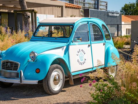 Camping Ile aux Oiseaux - Camping Vendée - Image N°5