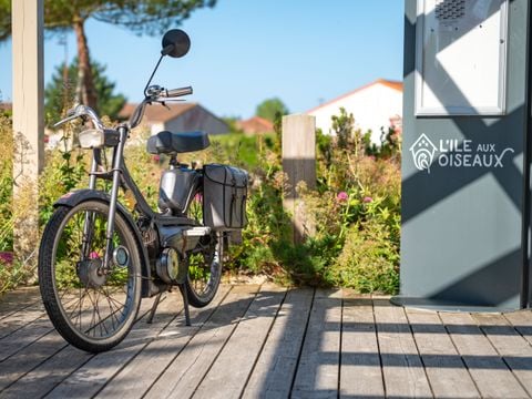 Camping Ile aux Oiseaux - Camping Vendée - Image N°4