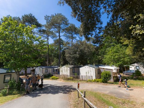 Camping maeva Respire Parfums d'été Camping maeva Respire Parfums d'été - Camping Vendée - Image N°91