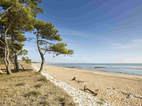 Camping maeva Respire Parfums d'été Camping maeva Respire Parfums d'été - Camping Vendée - Image N°47