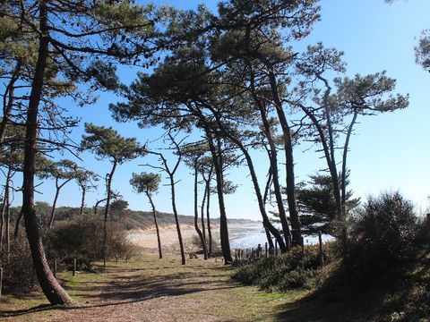 Camping maeva Respire Parfums d'été Camping maeva Respire Parfums d'été - Camping Vendée - Image N°83
