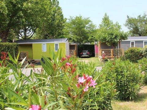 MOBILHOME 4 personnes - LUBERON