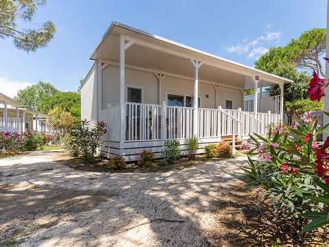 MOBILHOME 5 personnes - Lodge Elite Dog