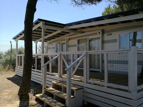 Mobilhome 4 personnes - Lodge Deluxe Dog