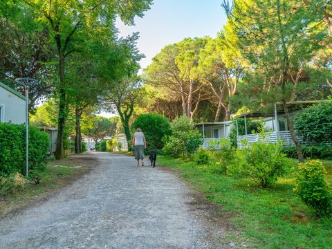 Jesolo Mare Camping Village  - Camping Venise - Image N°47