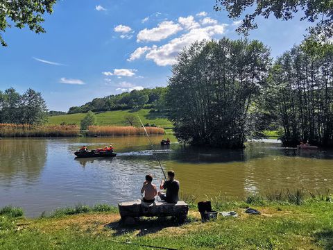 Camping Du Bois De Reveuge  - Camping Doubs - Image N°5