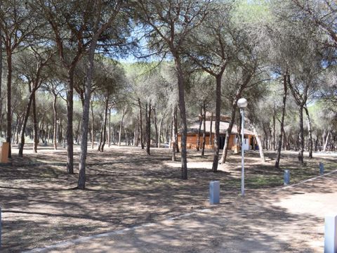 Emplacement - Parcela Estandar para tiendas con sombra natural