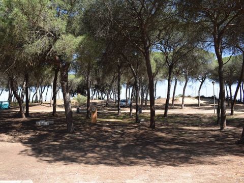 Emplacement - Parcela Estandar para tiendas con sombra natural