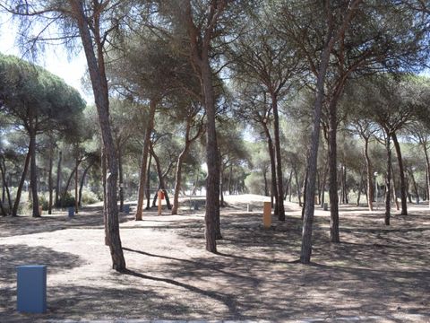 Emplacement - Parcela Estandar para autocaravanas con sombra natural