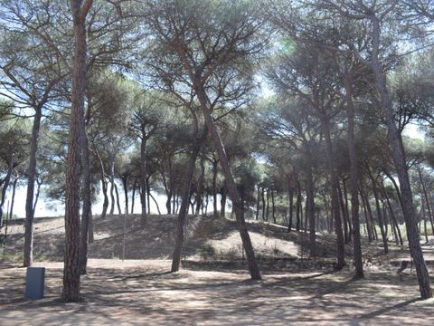 Emplacement - Parcela Estandar para autocaravanas con sombra natural