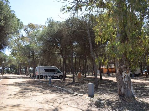 Emplacement - Parcela Estandar para caravanas con sombra natural