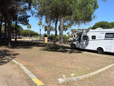 Emplacement - Parcela Estandar para tiendas sin sombra