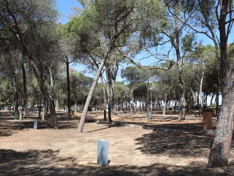 Emplacement - Parcela Estandar para tiendas sin sombra