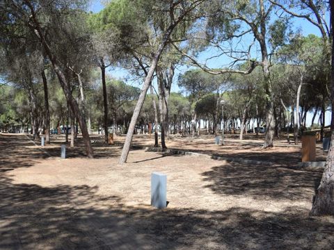 Emplacement - Parcela Estandar para autocaravanas sin sombra