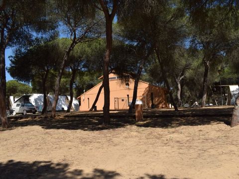 Emplacement - Parcela plus para autocaravanas sin sombra