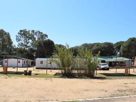 Emplacement - Parcela plus para autocaravanas sin sombra