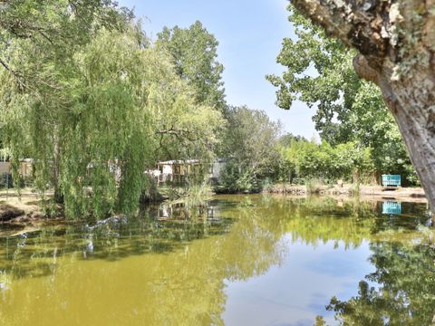 Camping Ushuaïa Villages Le Parc de la Grève - Camping Vendée - Image N°19