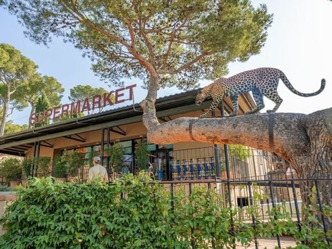 Camping Castell Montgri - Camping Girona