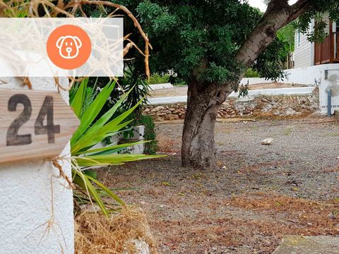 Camping Alannia Costa Dorada - Camping Tarragona - Image N°2