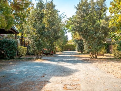 Camping Paradis Au port de l'houmeau - Camping Charente-Maritime - Image N°25