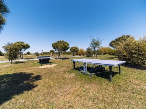 Camping Paradis Au port de l'houmeau - Camping Charente-Maritime - Image N°9