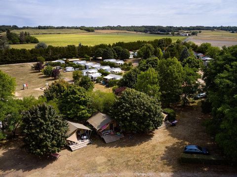 Camping Le Petit Trianon  - Camping Vienne - Image N°73