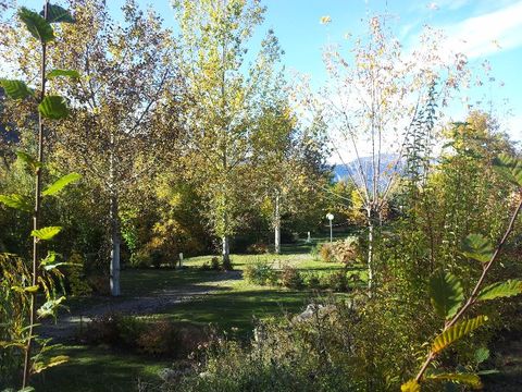 Camping La Pierre de L'Aigle  - Camping Alpes-de-Haute-Provence - Image N°16