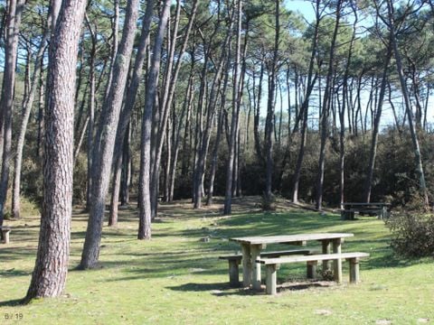 Camping Le Bosquet - Camping Vendée - Image N°10