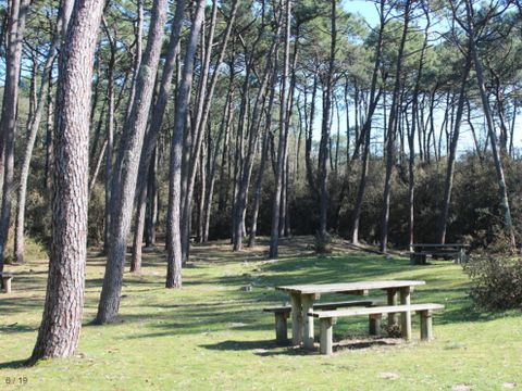 Camping Le Bosquet - Camping Vendée - Image N°7