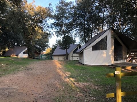 Camping Le Bosquet - Camping Vendée - Image N°2