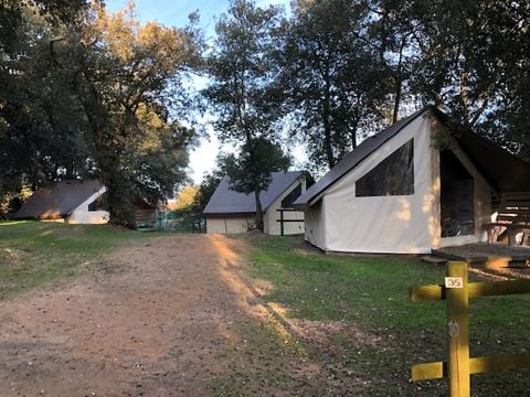 Camping Le Bosquet - Camping Vendée - Image N°7