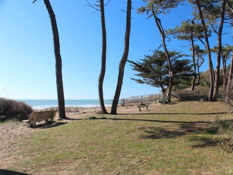 Camping Le Bosquet - Camping Vendée - Image N°6