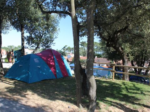 Camping Le Bosquet - Camping Vendée - Image N°19