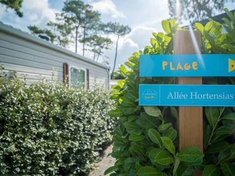 Camping Paradis - La Pomme de Pin - Camping Vendée - Image N°10