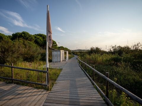 Camping Waikiki - Camping Venise - Image N°6
