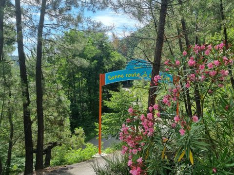 Camping Paradis - Bois Simonet - Camping Ardèche - Image N°32