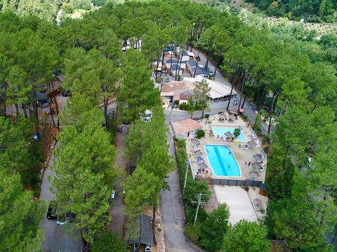 Camping Le Bois Simonet - Camping Ardeche - Image N°2