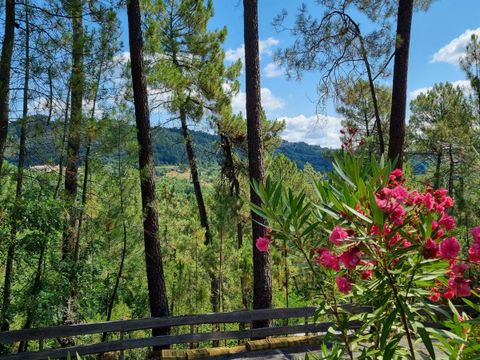 Camping Paradis - Bois Simonet - Camping Ardèche - Image N°42