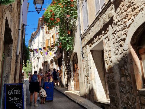 Camping Paradis - Bois Simonet - Camping Ardèche - Image N°50