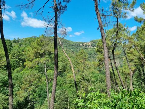 Camping Paradis - Bois Simonet - Camping Ardèche - Image N°40