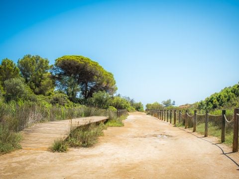 Camping Ametlla  - Camping Tarragone - Image N°31