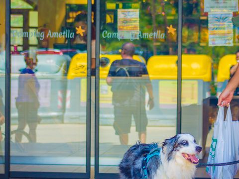 Camping Ametlla  - Camping Tarragone - Image N°49