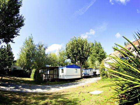 Camping Le Marais Neuf - Camping Vendée - Image N°17