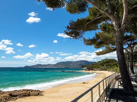 Camping Le Parc des Chênes - Camping Var - Image N°12