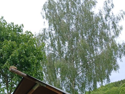TENTE TOILE ET BOIS 2 personnes - Tente Safari I 2 pax