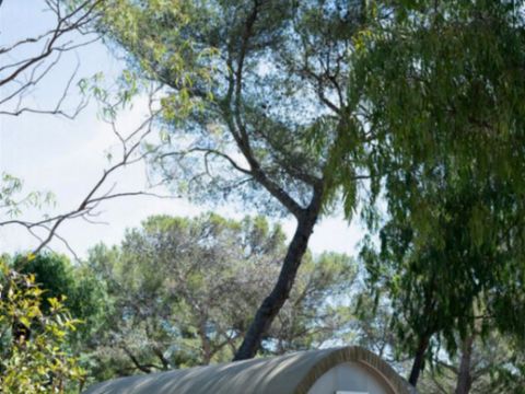 BUNGALOW TOILÉ 4 personnes - COCO SWEET (sans eau, sans sanitaires)