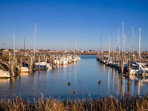 Camping Le Pavillon Bleu  - Camping Vendée - Image N°26