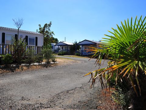 Camping Le Pavillon Bleu  - Camping Vendée - Image N°23